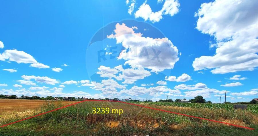 Teren Focsanei / DN sat Focsanei Vadu Pasii - 8