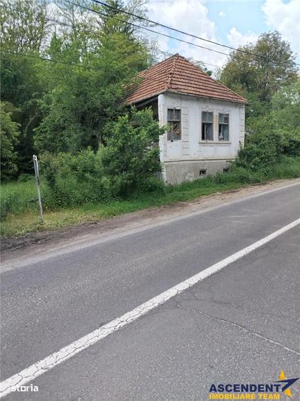 Domeniu verde autentic, +5.000mp, front la DJ, Valcele, Brasov -- Cov - 2