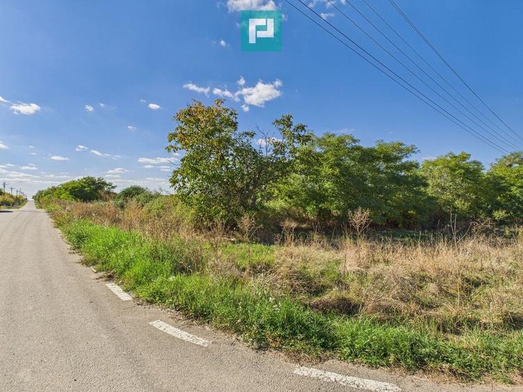 Teren intravilan 6115mp pentru investiții Firiteaz - 8