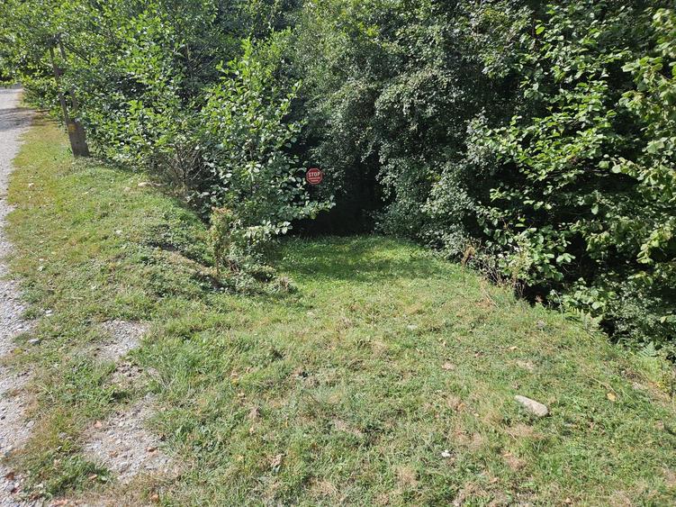 Vand teren Costesti, jud. Hunedoara - 5