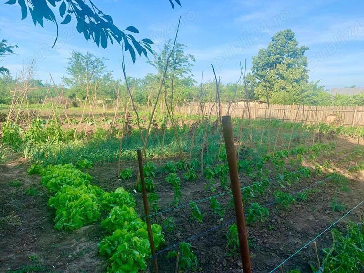 Vand casa in Baile Jud. Buzau - 5