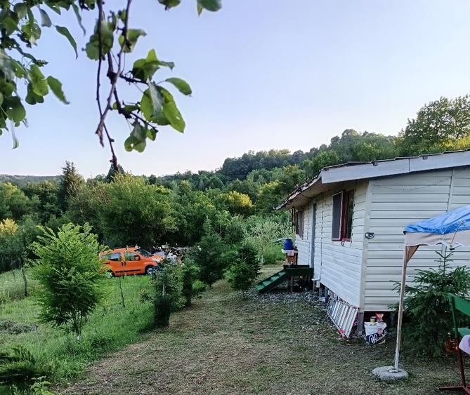 Vind teren cu cabană utilitati arges - 1