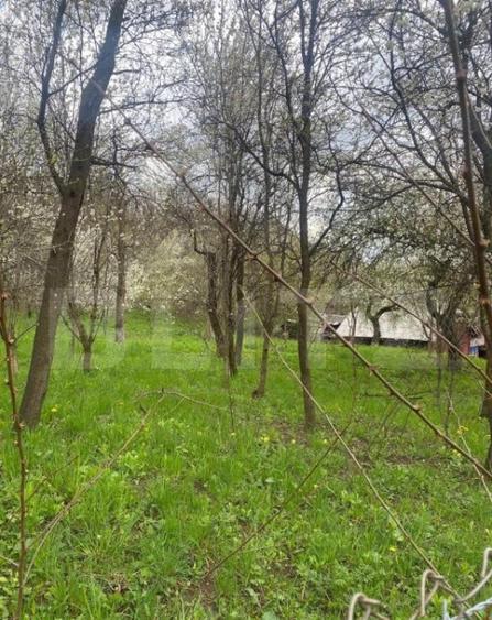 Teren 784 mp, Nistoresti, jud Prahova - 7