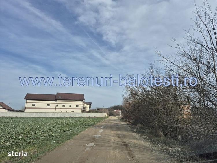 Teren cu gaz si electrica-hotar, 28000 E, padure - 5