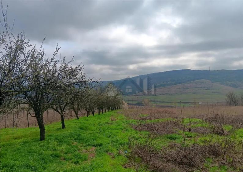 Aroneanu - Dorobant TEREN 46000mp PUZ realizat 59 de case la - 7