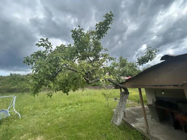 VAND CASUTA CU 3120 MP TEREN, SURDESTI BREAZA - 4