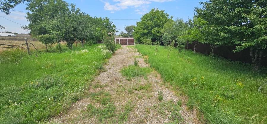 Vanzare teren intravilan, 1500 mp, Tarlungeni central. - 2