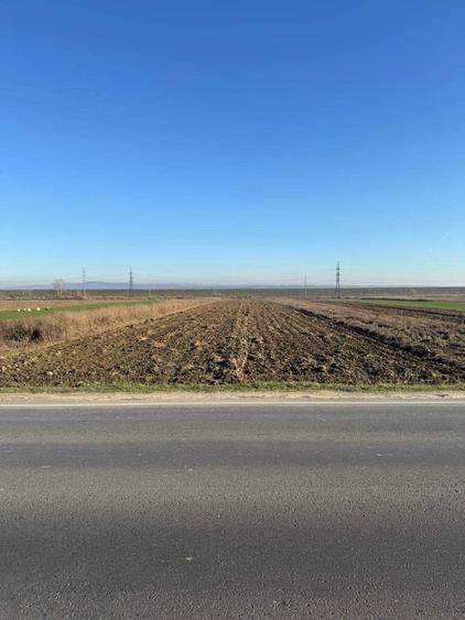 Teren de vanzare 5000 mp, Valea Mare, Babeni DN64 - 4