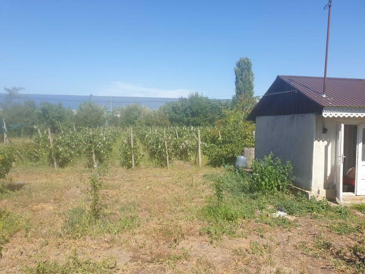 Teren de 3000 mp, în Hanu Conachi