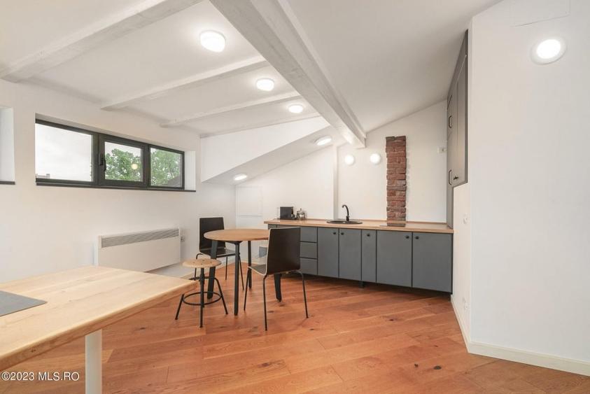 COTROCENI-GRADINA BOTANICA STUDIO LA CHEIE, 33 MP! - 7