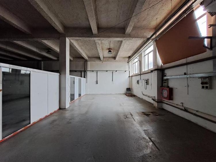 Spatiu industrial, 1500 mp utili, P+E, situat in zona Corneliu Coposu! - 12