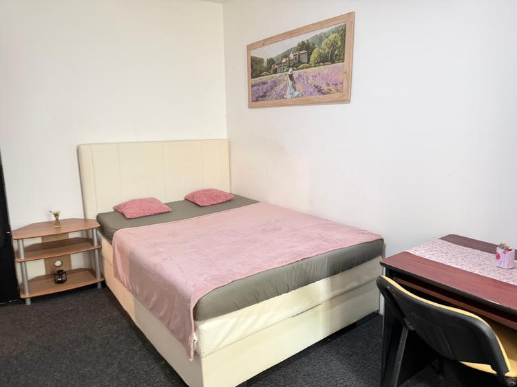 inchiriez apartament o camera Circumvalatiunii 300 euro - 5