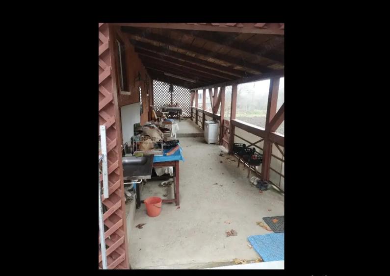 Casa batraneasca, aproape de Bacau,8 km zona superba - 4