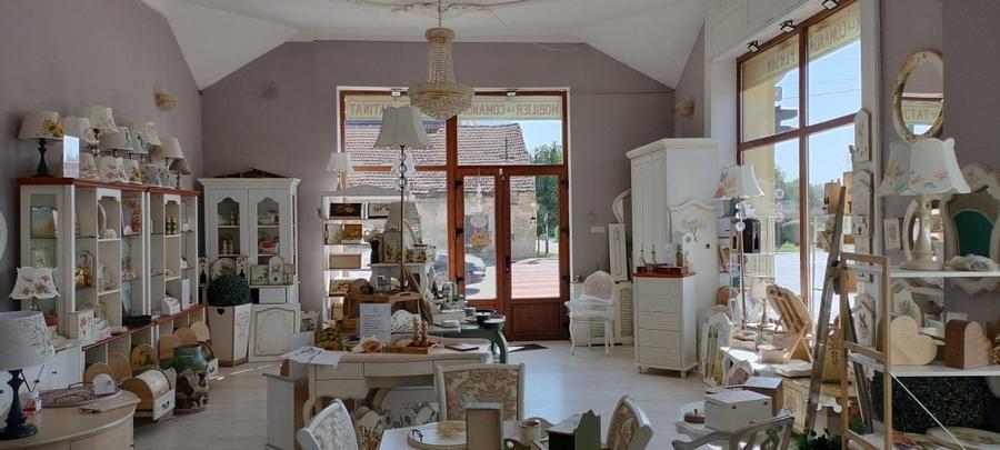 Dorobanților SAD 264 mp 250000 euro - 15