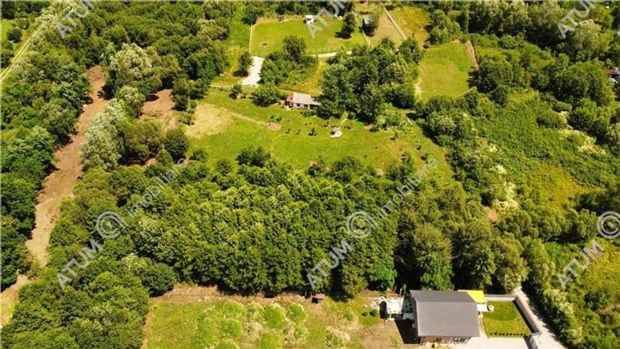 Teren de vanzare pe Valea Avrigului Sibiu - 3