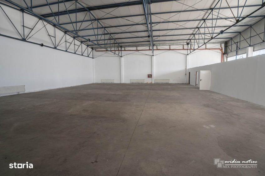 Hala 438 mp cu birouri 145 mp - 3