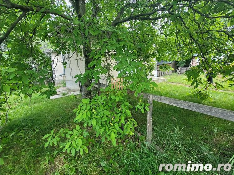 Casa Orheienilor! - 4