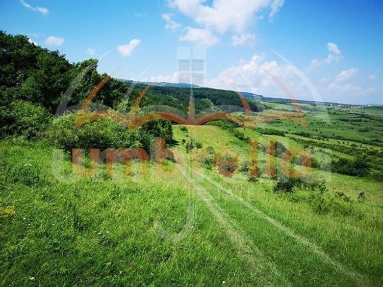 Teren de vanzare in Cluj-Napoca, Strada Soporului 2.900 mp - 1