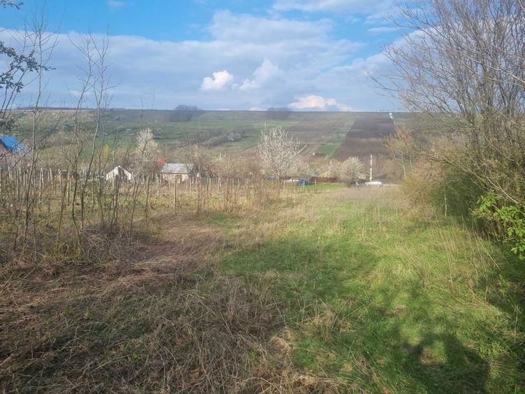 Teren vanzare - Rusenii noi - 2