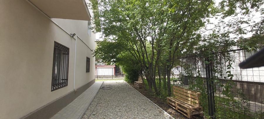 Padurea Baneasa Aleea Teisani Sector 1 - 1