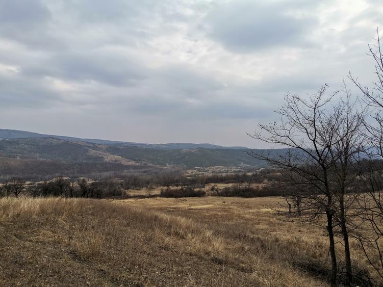 Vănd Teren Extravilan Dănulești, Jud. Buzău 9700 mp - 3