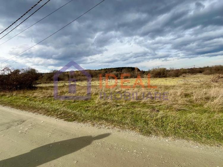 Teren extravilan 868 mp, Cârțișoara