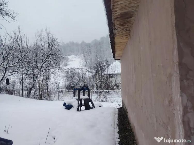 Casa boiereasca Urseiu - 12