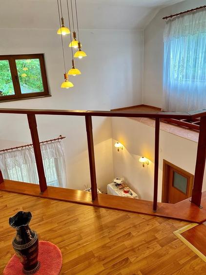 Giurgiu, vila cu padure proprie, izvor si iaz pe 19.900 mp teren - 8