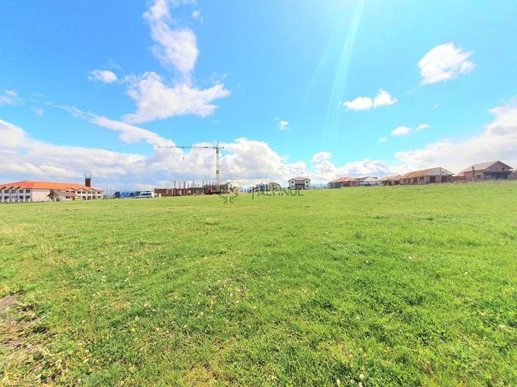 Teren Ideal pentru Investitie - 650 mp, Sura Mica