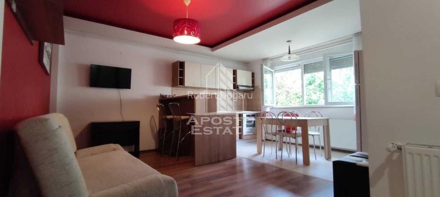 Apartament spațios de închiriat în Dumbrăvița - 360E/luna Apartament spațios de închiriat în Dumbrăvița - 360E/luna