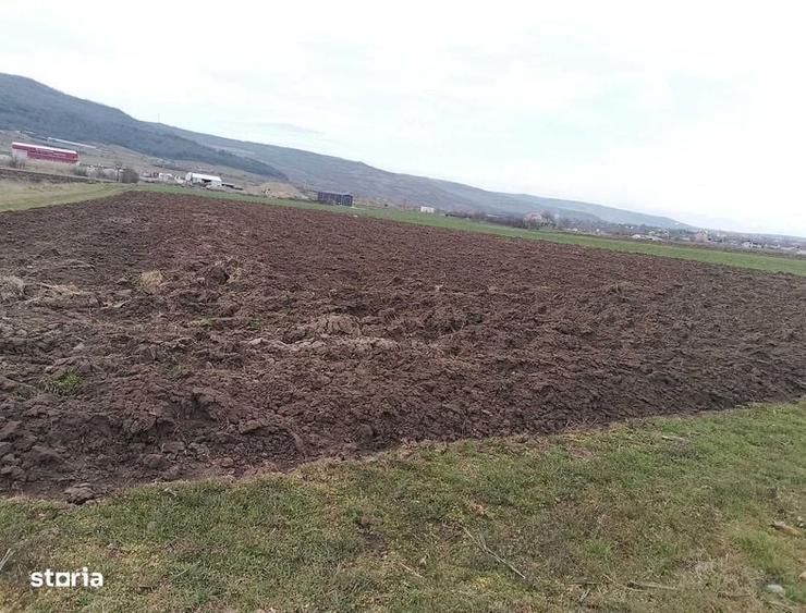teren de vinzare - 1