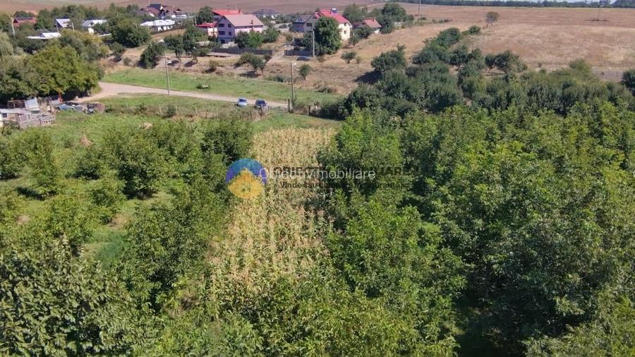 Teren de vanzare 1935 mp Piatra Neamt - Str. Plantelor