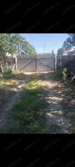 Vand casa la tara - 4