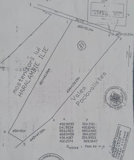 LAGUNA ALBASTRA - CORBEANCA - 1