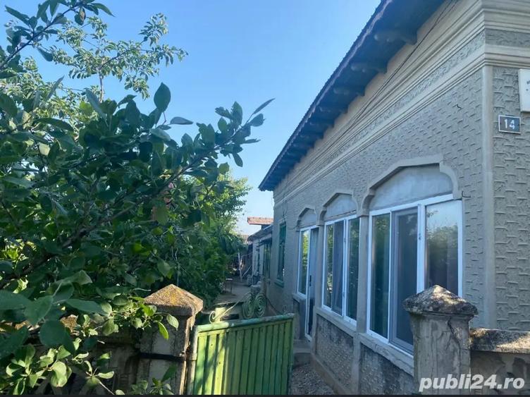 Vand Casa cu curte 851 mp 15 minute de Alexandria - 9