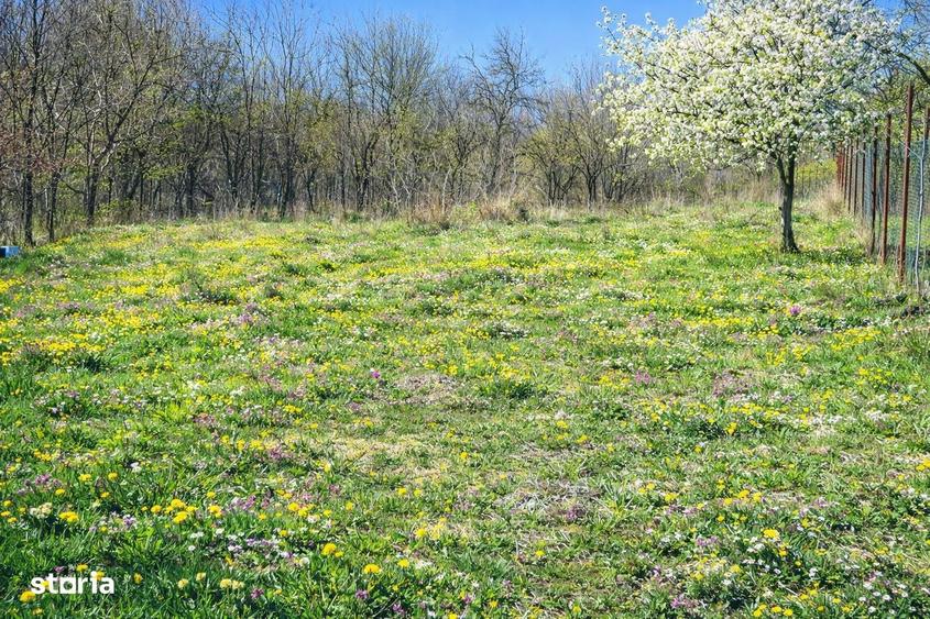 OFERTA RARA - Casa spa?ioasa 450 mp + teren 1900 mp in Ciurila, jud,CJ - 3