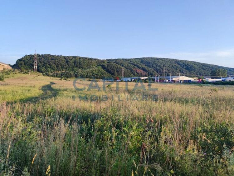 Comision 0%! Teren 15000 mp constructii industriale, cu PUZ, Gilau - 3