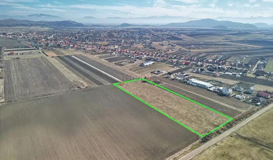 Teren Extravilan, P.U.Z. inceput - 7