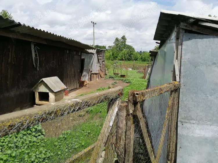 Casa batraneasca cu anexe si teren Loturi Enescu Dorohoi - 2
