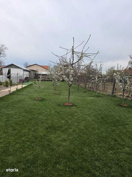 De vanzare casa in timisoara - 6