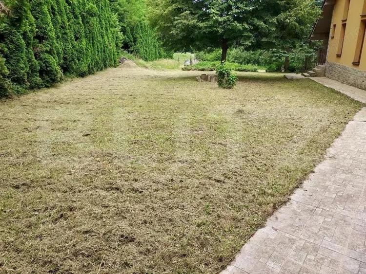 Casa de Vacan?a pe Valea Ighielului 3 camere, 2500 mp curte - 10