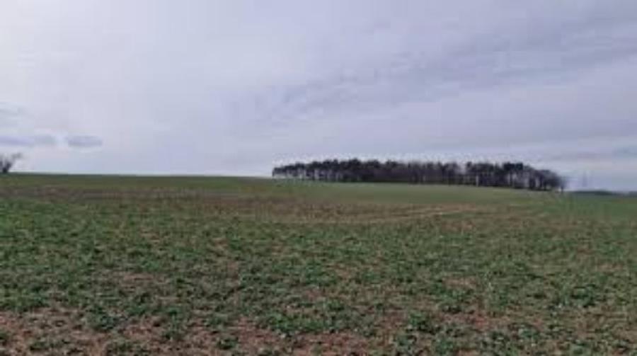 20 ha terenuri agricole la Almaj judetul Dolj - 1