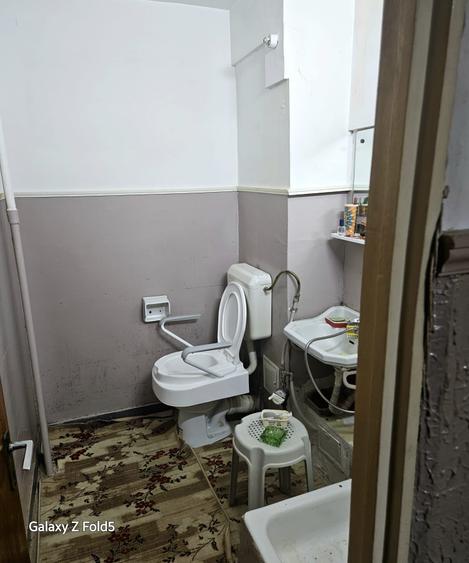 Teiul Doamnei-stradal-bloc 1983 - 3