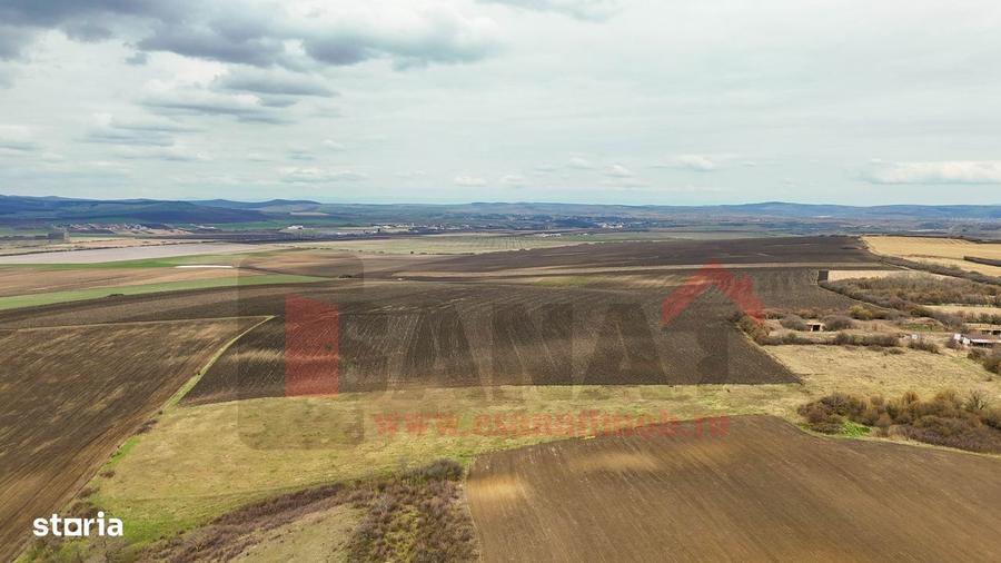 Ocazie | Teren 50.400 mp | Sura Mica | Investitie / dezvoltare |VIDEO - 8