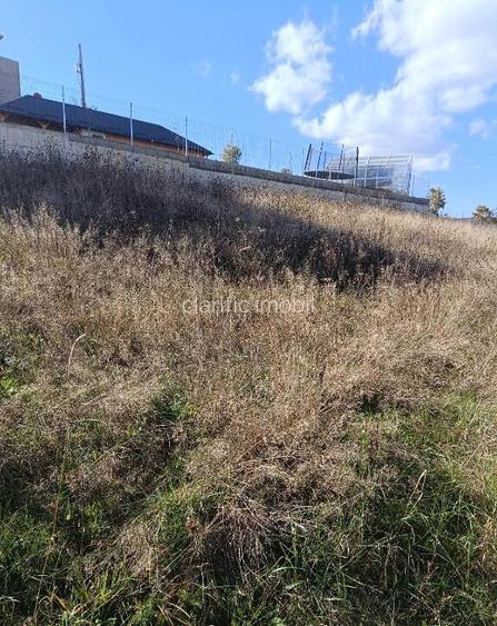 Teren 1000 mp intravilan, Zona Tarpiului