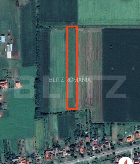Teren cu nuci, 5.400mp, zona - Decebal, Comuna Veti? Teren cu nuci, 5.400mp, zona - Decebal, Comuna Veti?