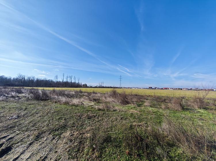 OFERTĂ VÂNZARE TEREN INTRAVILAN – MĂGURELE, STRADA STEJARULUI - 5