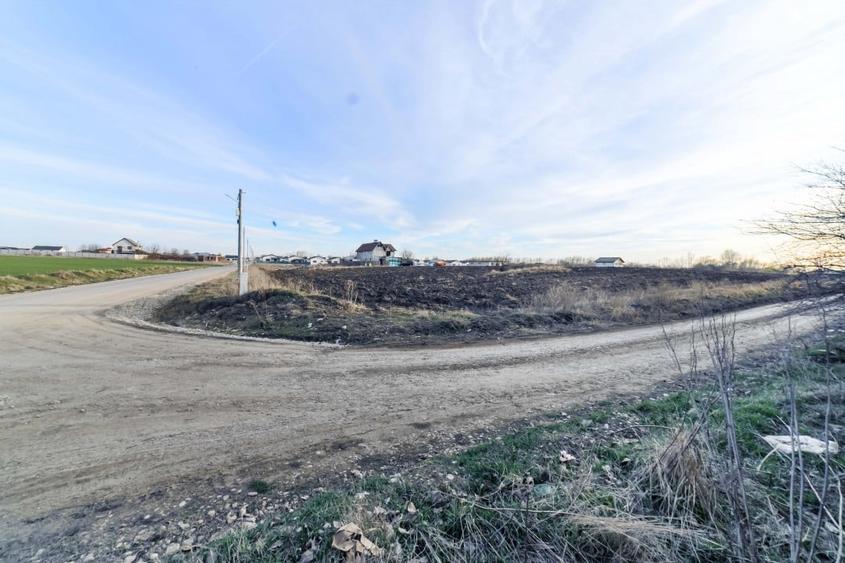 Domnesti, Salciei, Haltei, Ciocarliei, teren 6000 mp, drum asfaltat cu utilitati - 2