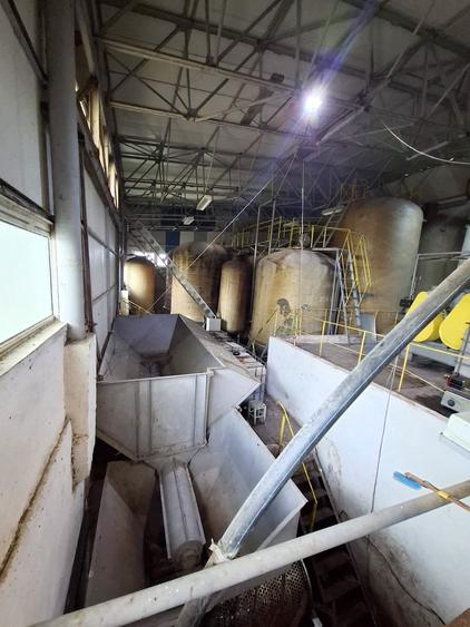 CRAMĂ FUNCȚIONALĂ DE VÂNZARE   ÎN INIMA PODGORIEI ODOBEȘTI (VRANCEA) - 6