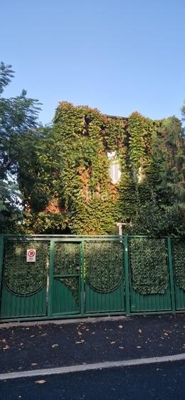 Nu inchiriezi o casa, ci iti alegi un acasa! Nu inchiriezi o casa, ci iti alegi un acasa!
